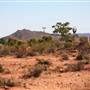 Rupee Station - Broken Hill