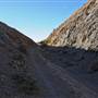Silverton Landscapes