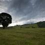 Tweed Valley 1 of 2