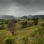 Tweed Valley 1 of 2