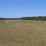 Tyagarah Airfield, Byron Bay