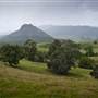 Tweed Valley 1 of 2