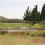 Clarrie Hall Dam