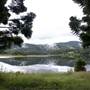 Tweed Valley 1 of 2