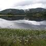 Tweed Valley 1 of 2