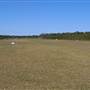 Tyagarah Airfield, Byron Bay