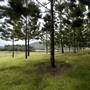 Tweed Valley 1 of 2