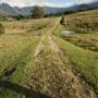 Tweed Valley 1 of 2
