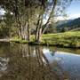 Tweed Valley 1 of 2