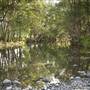 Tweed Valley 1 of 2