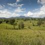Tweed Valley 1 of 2