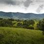 Tweed Valley 1 of 2