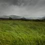 Tweed Valley 1 of 2