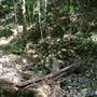 Upper Crystal Creek