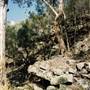 Parkes