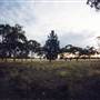 Parkes