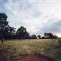 Parkes