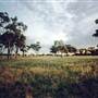 Parkes