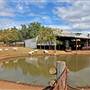 Sheep Station