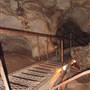 Wellington Caves Complex