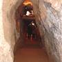 Wellington Caves Complex