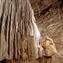 Wellington Caves Complex