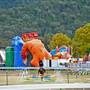 Wellington Showground