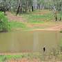 Whylandra Crossing, Dubbo