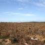 Penrose State Forest - Southern Highlands