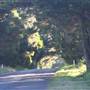 Robertson - Southern Highlands
