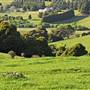 Robertson - Southern Highlands