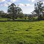 Robertson - Southern Highlands