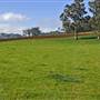 Robertson - Southern Highlands