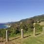 Sea Cliff Bridge, Grand Pacific Drive, Lawrence Hargrave Drive