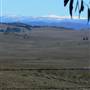 Snowy Mountains - Semi-Dry Steppes