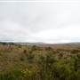 Snowy Mountains - Semi-Dry Steppes