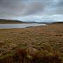 Snowy Mountains - Semi-Dry Steppes