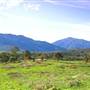 Snowy Mountains - Semi-Dry Steppes