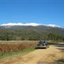 Snowy Mountains - Semi-Dry Steppes