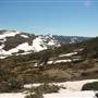 Snowy Mountains - Semi-Dry Steppes