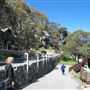 Thredbo