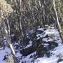 Thredbo