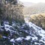 Thredbo