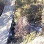 Thredbo