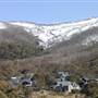 Thredbo