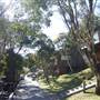 Thredbo