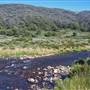 Thredbo