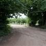 Wilgro Orchard