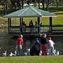 Wollongong Botanic Garden