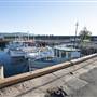 Wollongong Harbour
